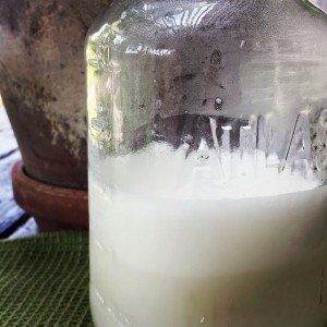 Delicious Easy Nutritious Coconut Milk